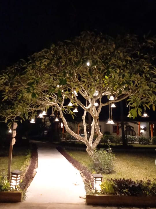 Gartenanlage Hotel Kiwengwa Beach Resort