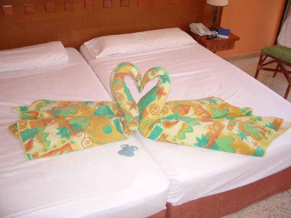 Zimmer Hotel Roc Barlovento