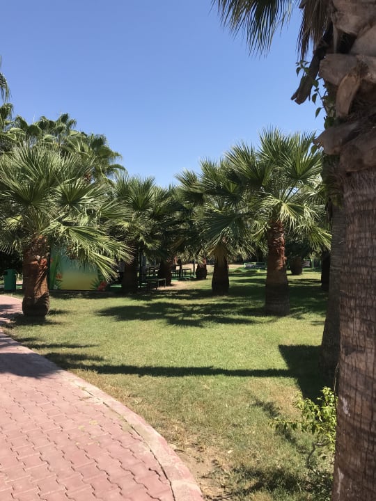Gartenanlage Hane Family Resort