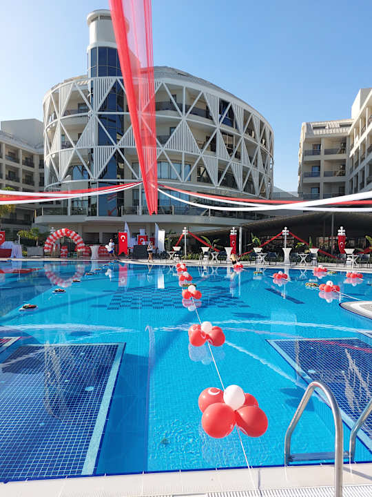 Sonstiges Seashell Vega