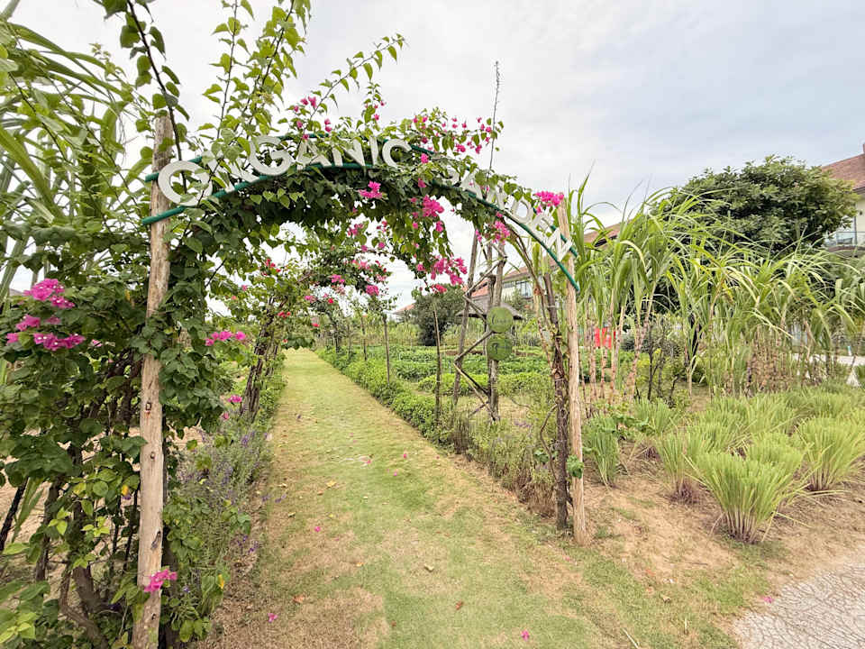 Gartenanlage ROBINSON NAM HOI AN