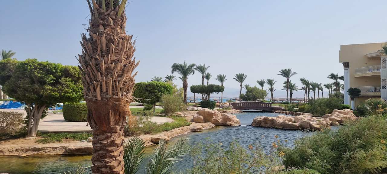 Gartenanlage Palm Royale Resort - Soma Bay