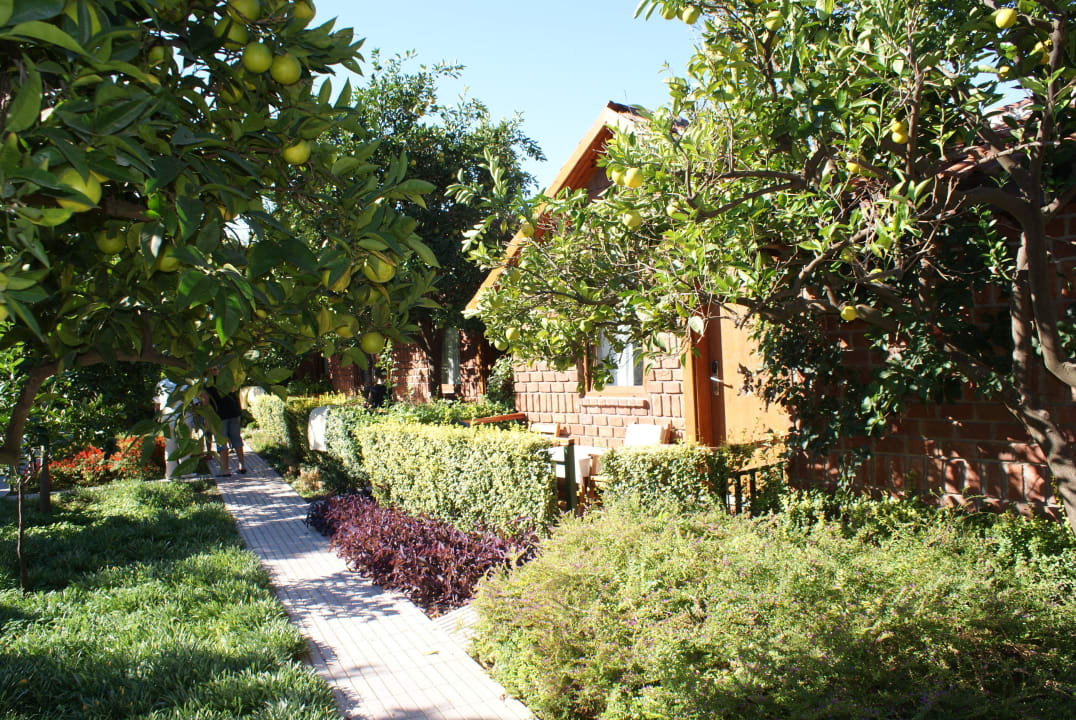 Garten mit Bungalow Can Garden Beach