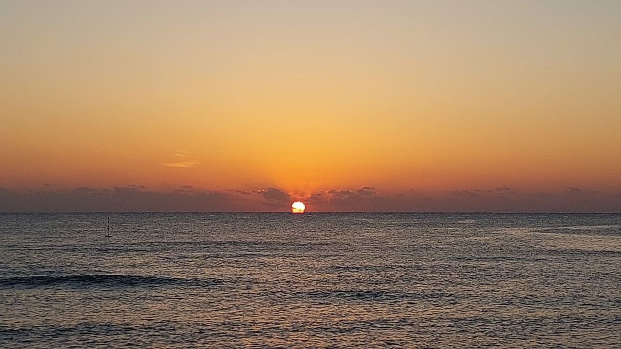 Strand Pickalbatros Palace Hotel-Port Ghalib