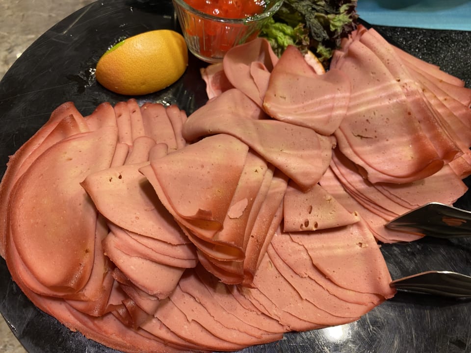 Gastro Seashell Vega