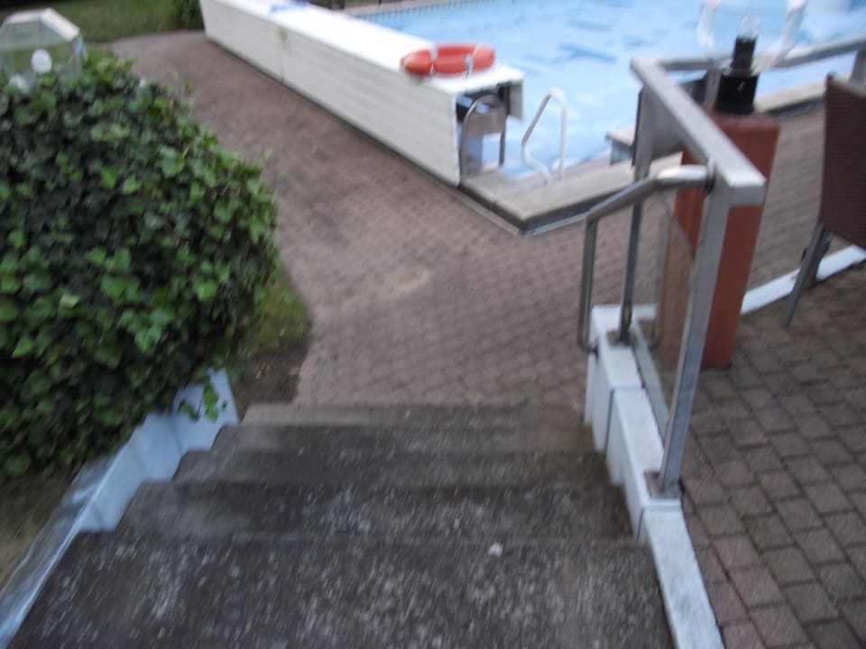 Zum Pool Leonardo Hotel Heidelberg-Walldorf