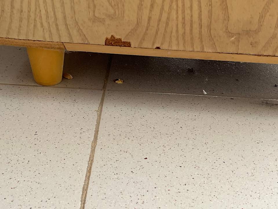 Zimmer Hotel El Mouradi Djerba Menzel