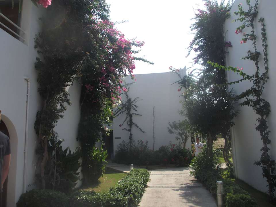 Gartenanlage Petunya Beach Resort