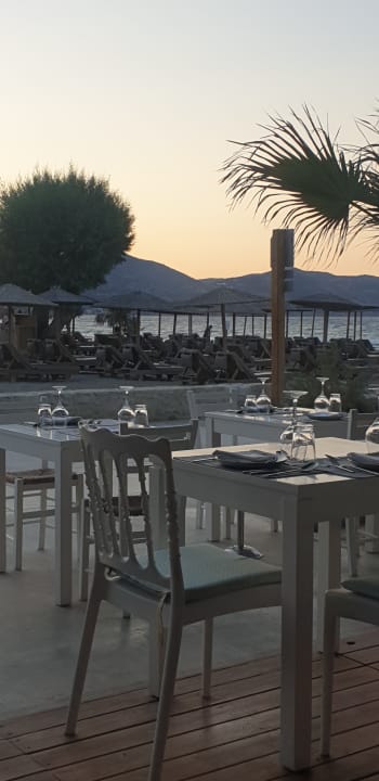 Gastro Paralos Lifestyle Beach