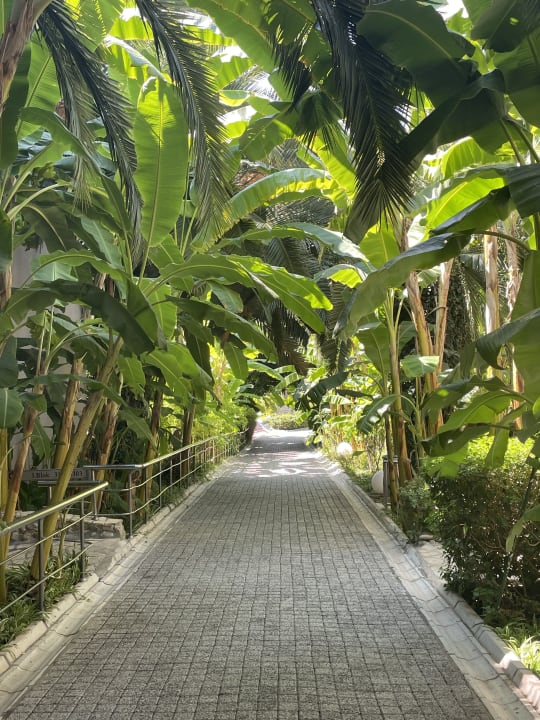 Gartenanlage Sealife Buket Resort & Beach