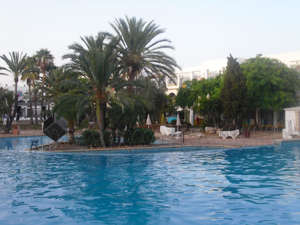 Pool Calimera Fido Gardens