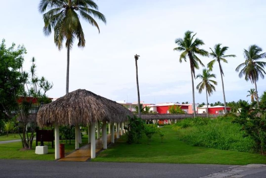 Zugang zu den Royal Juniorsuiten Swim Up TRS Turquesa Hotel - Adults only