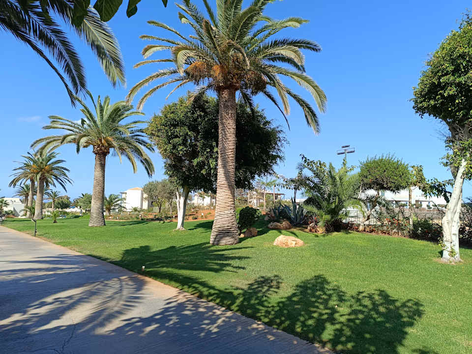 Gartenanlage Anissa Beach & Village