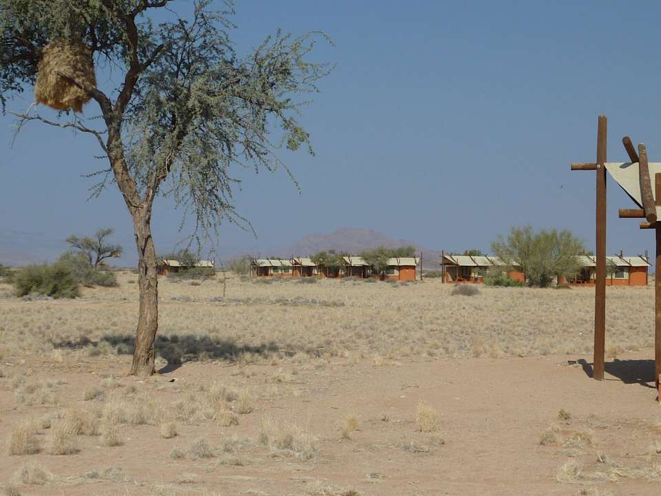 Zelte Desert Camp