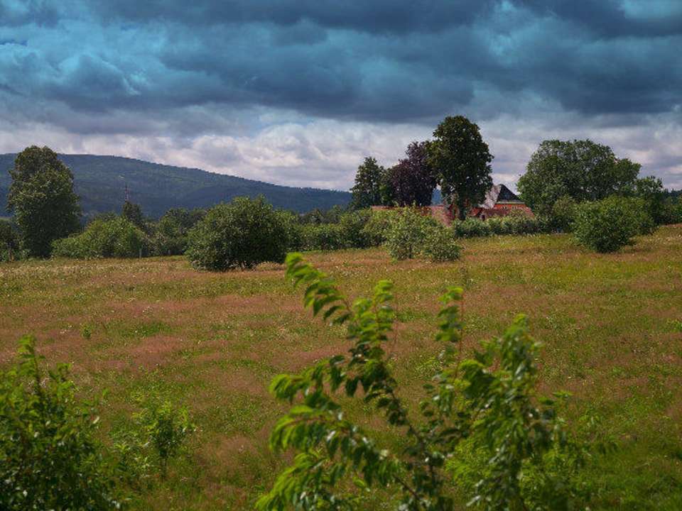 Okolica Alchemika Hotel Alchemik