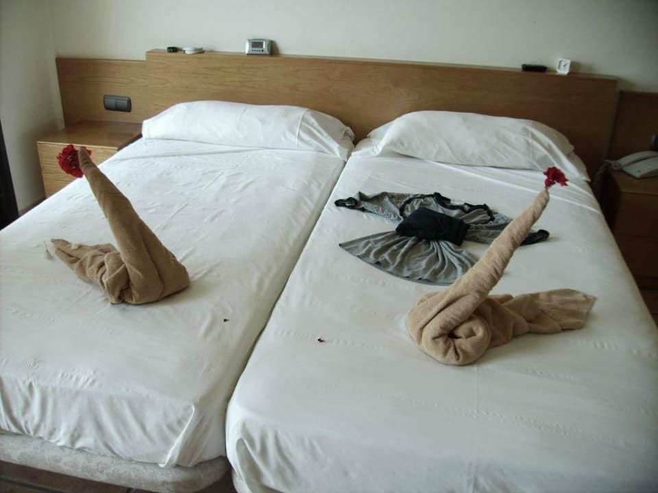 Der Schwan SBH Club Paraiso Playa