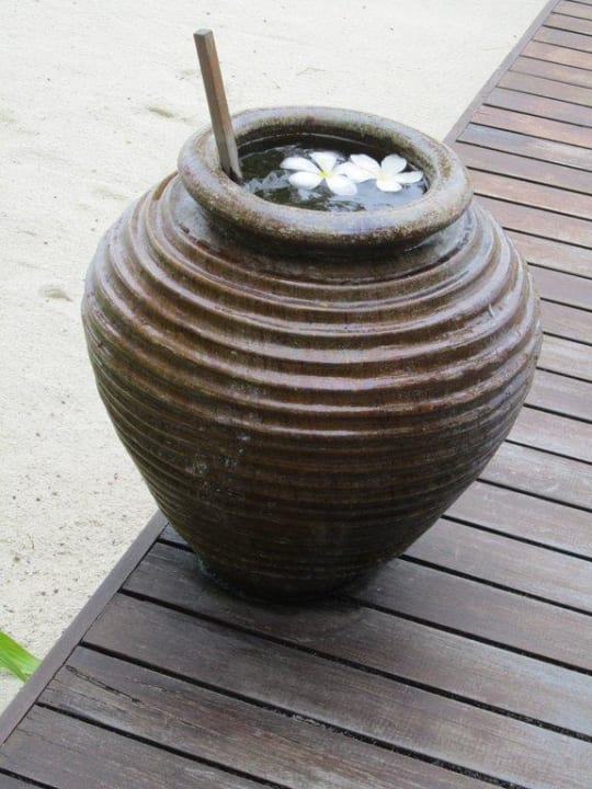 Ankunftssteg Coco Bodu Hithi