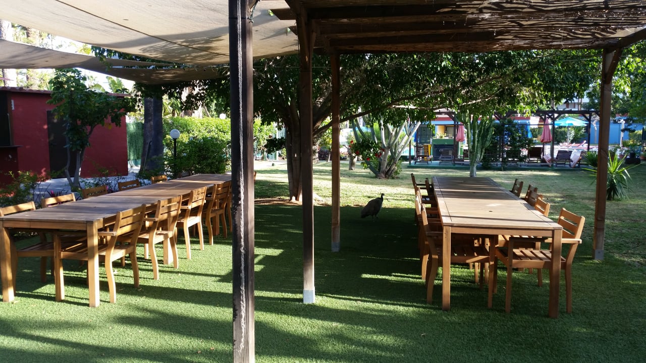 Restaurant Artemisa Gay Bungalows