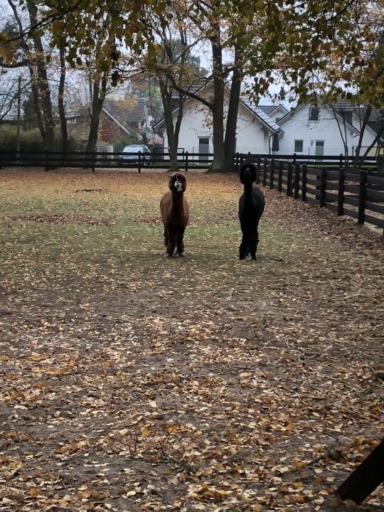 Sport & Freizeit Ferienpark Heidenholz
