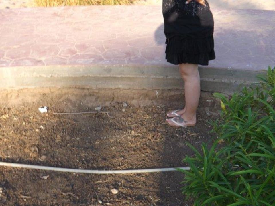 Gehweg sehr hoch sturz Gefahr  Lotus Bay Beach Resort