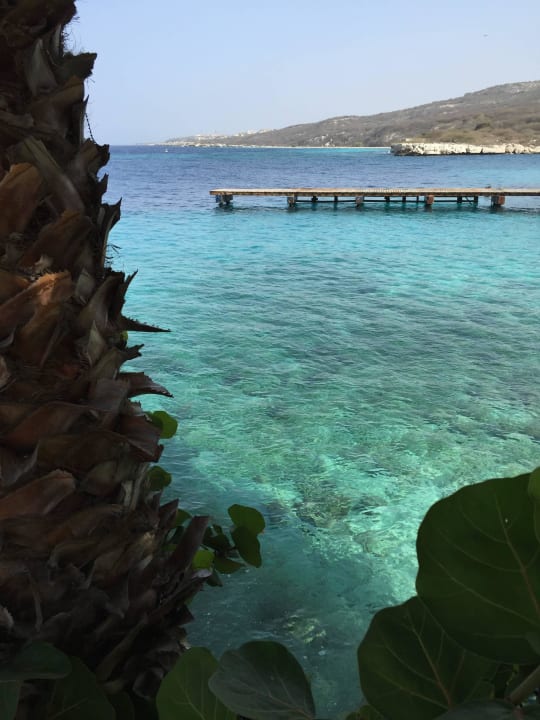 Pier Dreams Curacao Resort, Spa & Casino