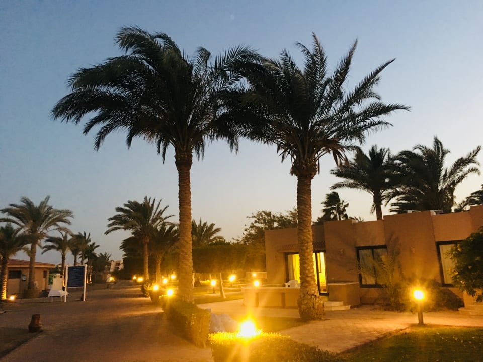 Gartenanlage Pharaoh Azur Resort