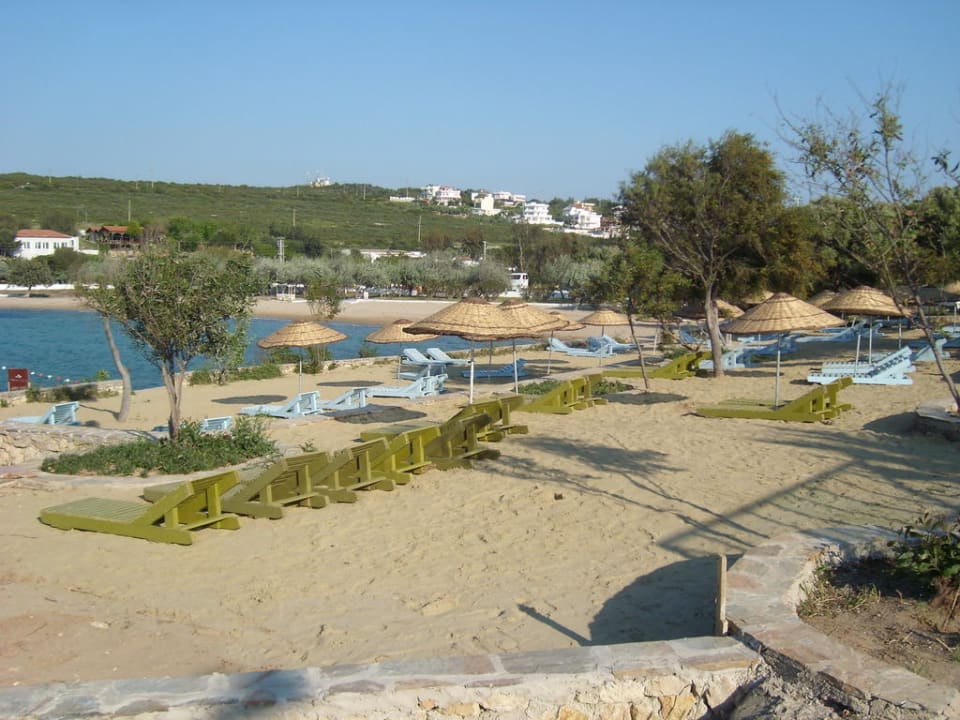 Sandstrand mit Sonnenliegen Club Resort Atlantis