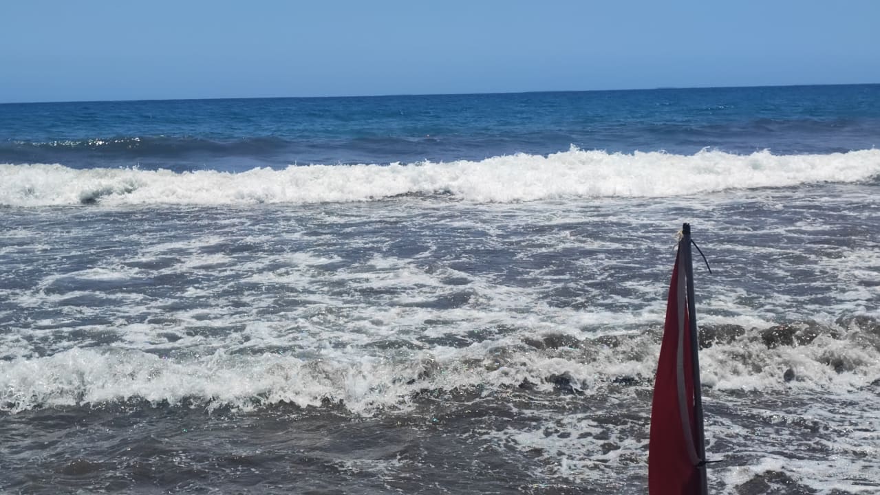 Gartenanlage Bull Costa Canaria & Spa - Adults only