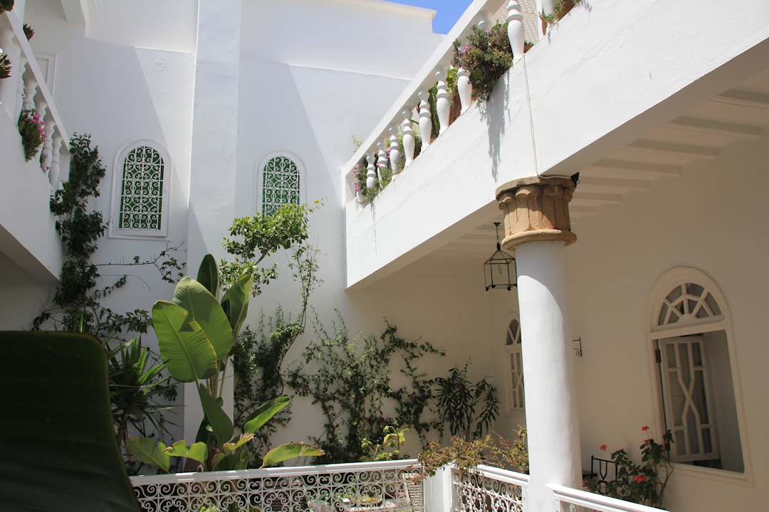 Üppig bepflanzte Galerien um den Innenhof Guesthouse Dar Loulema