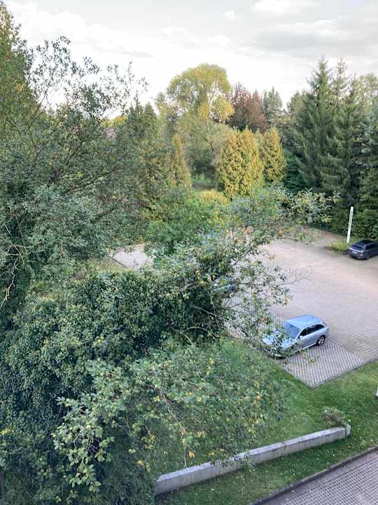 Gartenanlage Best Western Plaza Hotel Zwickau