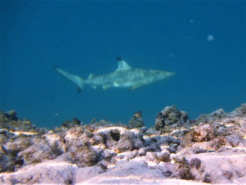Strand Cinnamon Dhonveli Maldives
