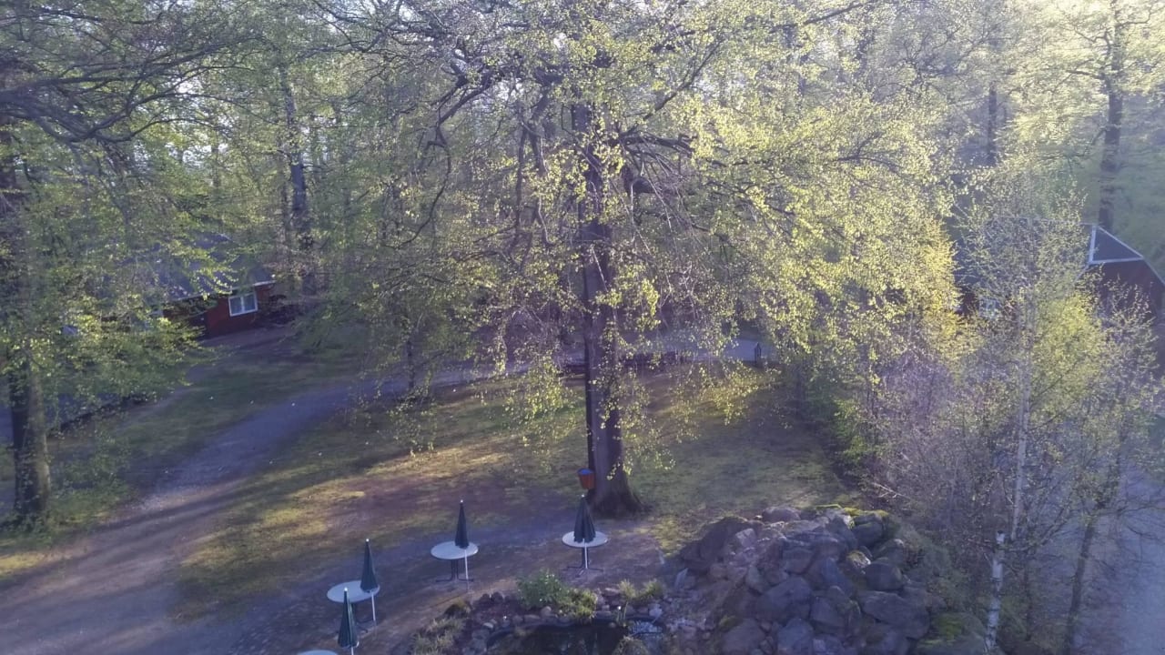 Ausblick Flair Kurparkhotel im Ilsetal