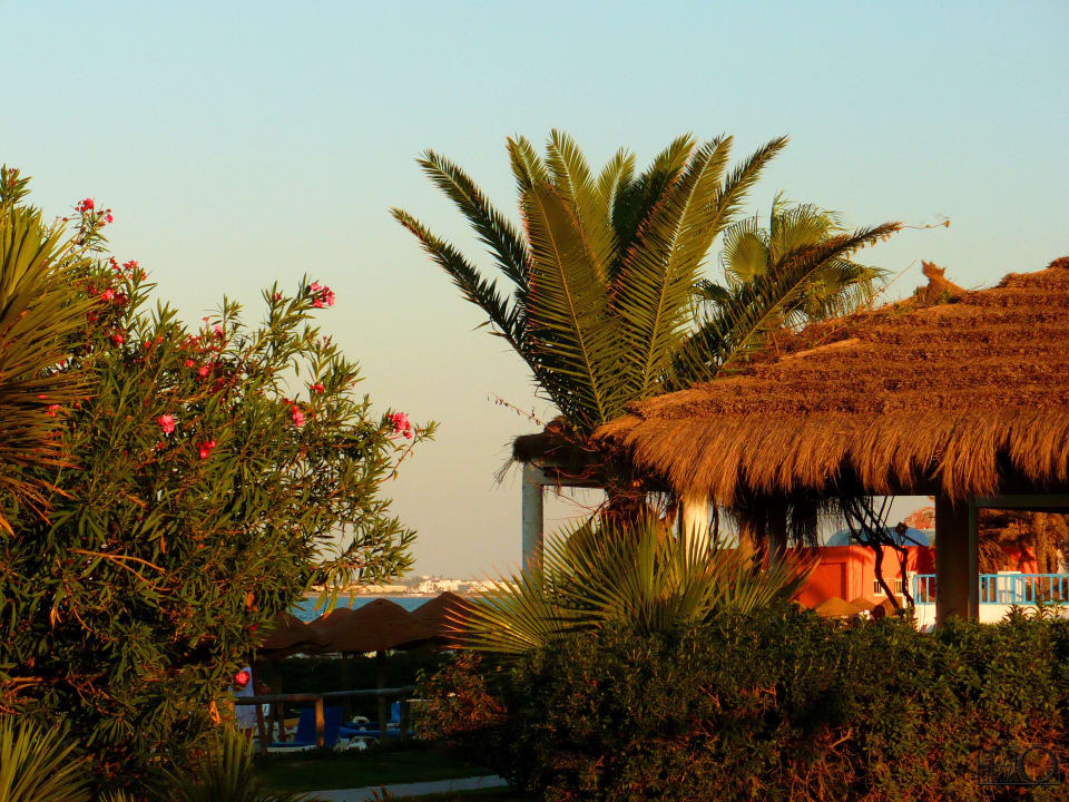 Architektura plażowa Caribbean World Monastir