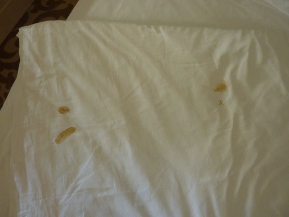 Bei Anreise Blutflecken im Bettzeug Aydinbey Kings Palace & Spa