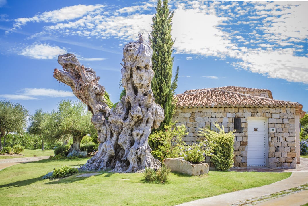 Gartenanlage Hotel Villas Resort