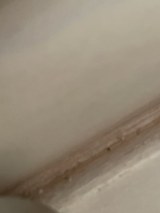 Zimmer Malliotakis Beach Hotel by Checkin