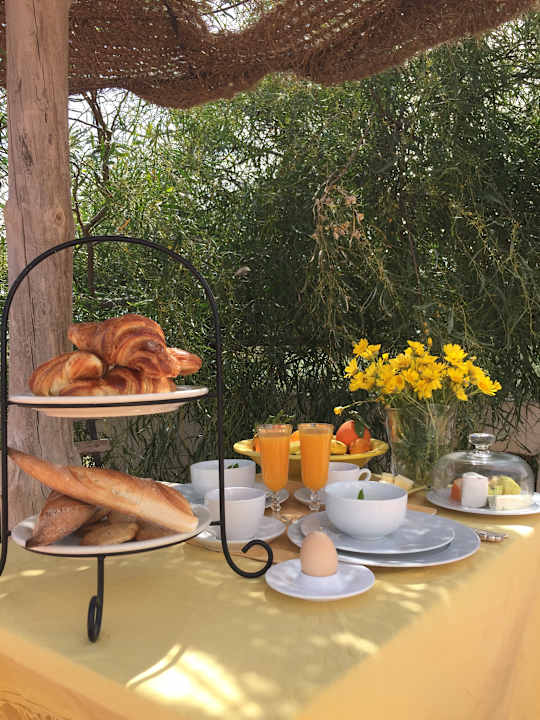 Gastro Maison dˋHôte Domaine El-Manar