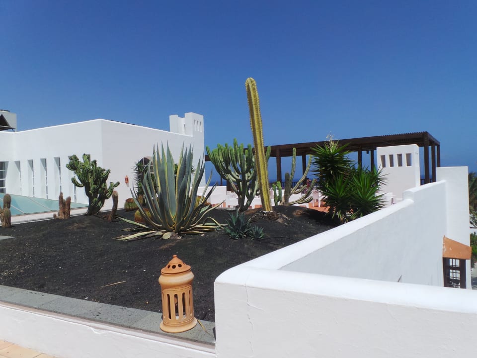 Ausblick Club Jandia Princess