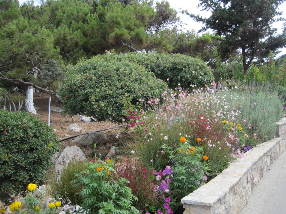 Weg zum Strand Hotel Kalithea Mare Palace