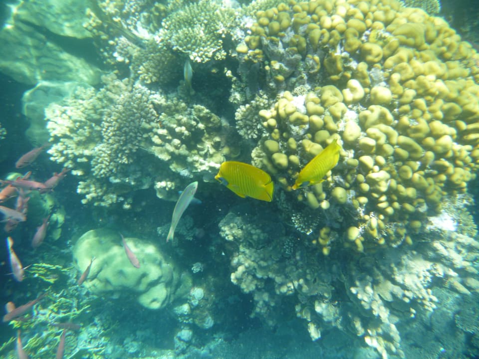 Strand Three Corners Sea Beach Resort