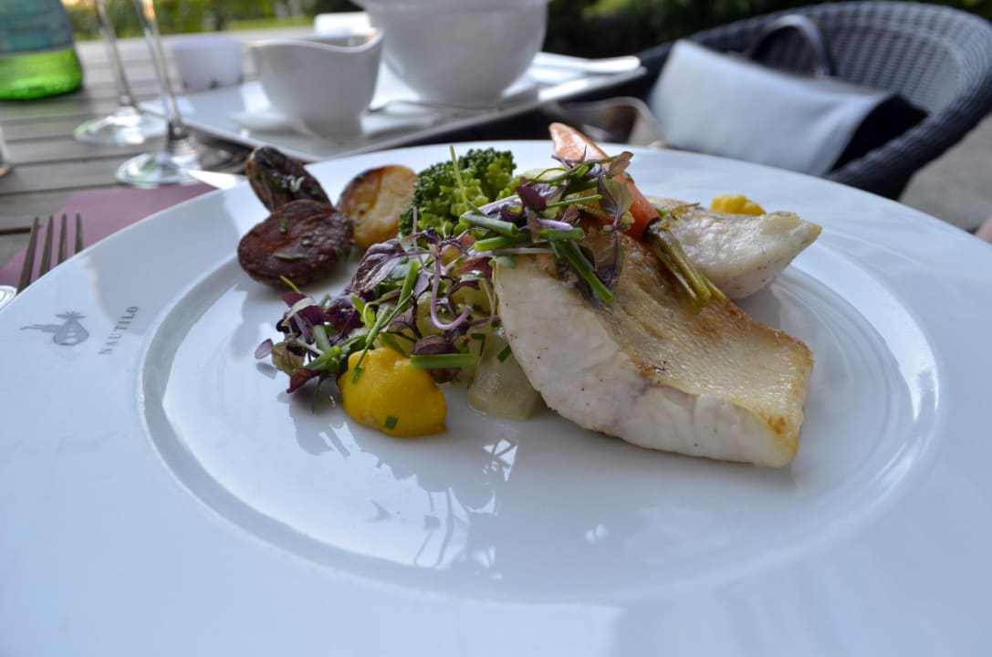 Zander in Perfektion Radisson Blu Senator Hotel