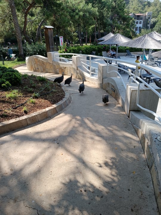 Sonstiges Hapimag Sea Garden Resort