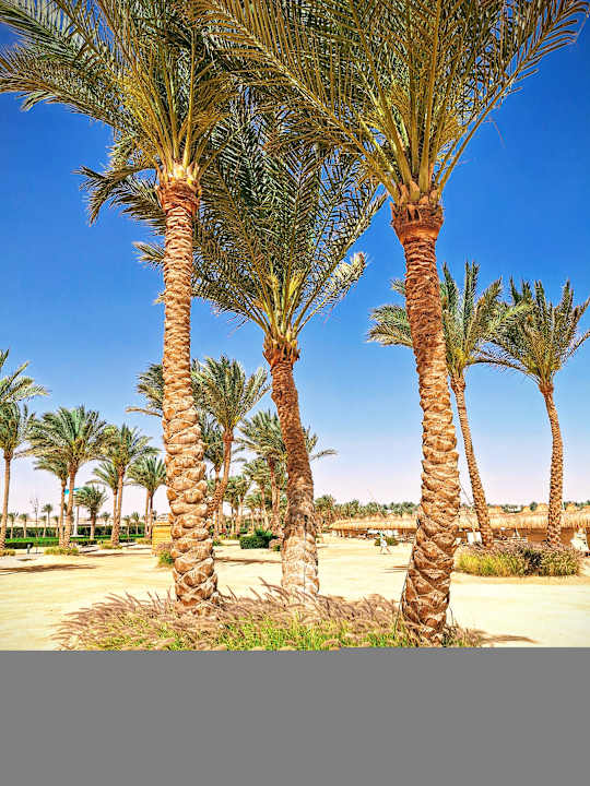 Strand Jaz Dar EL Madina