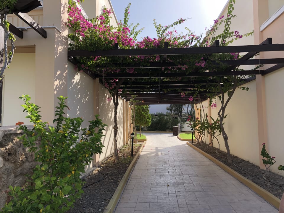 Gartenanlage Lindos Princess Beach Resort & Spa