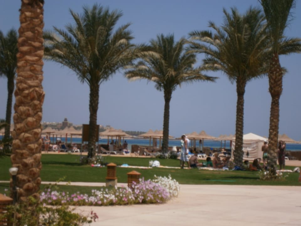 Blick auf´s Meer vom Pool Stella Beach Resort & Spa Makadi Bay