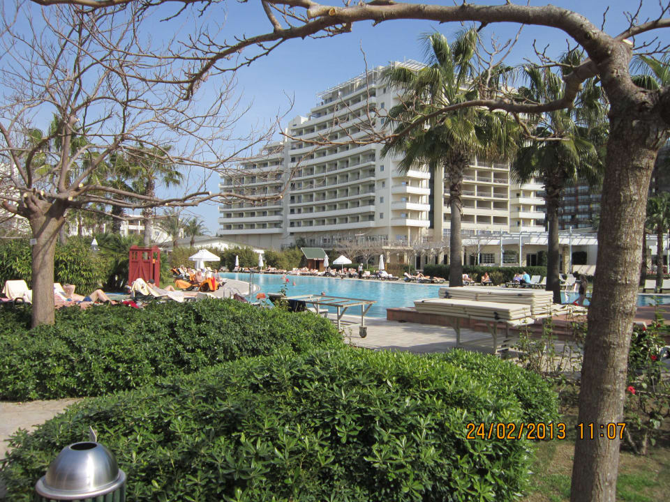 Im Februar am Pool Lara Barut Collection