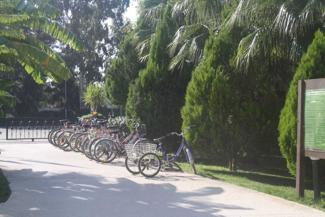 Fahrradverleih Marvida Family Eco