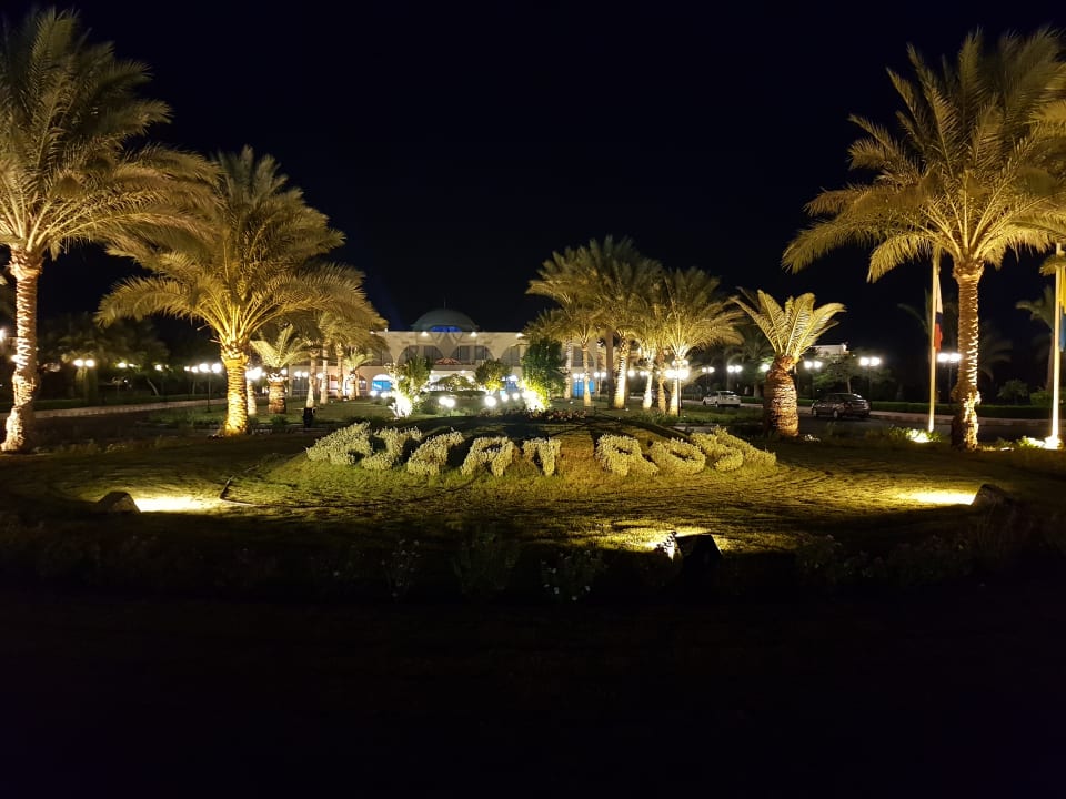 Gartenanlage Desert Rose