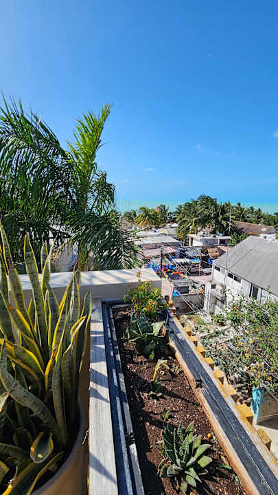 Ausblick Casa Peregrino Holbox