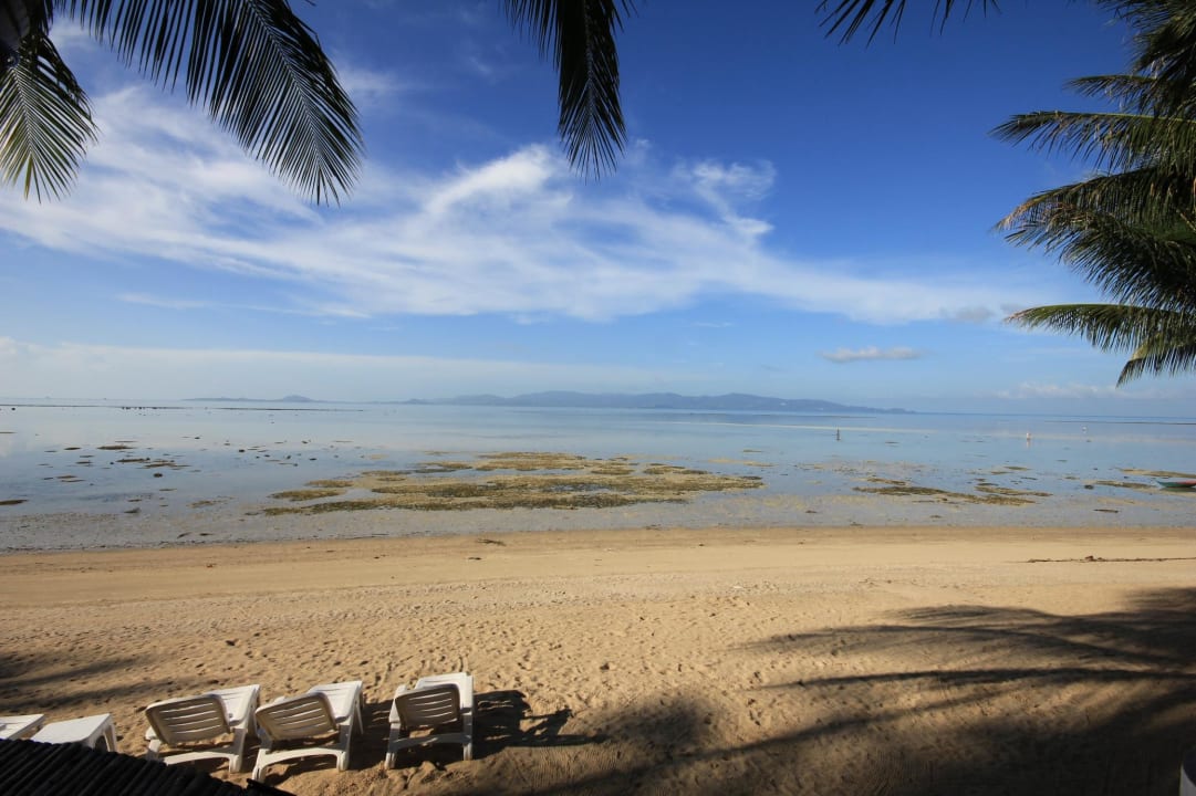 Morgens - die Ebbe Hotel B52 Beach Resort